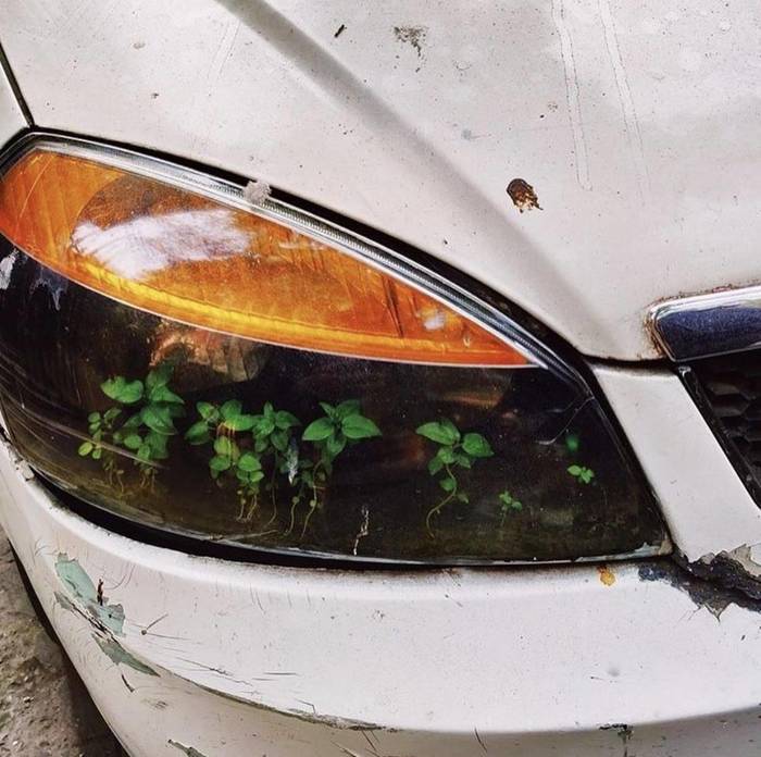 ����������