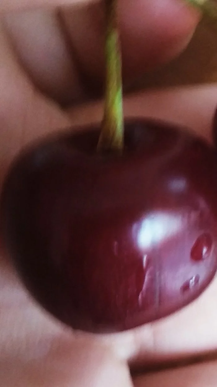 And I have cherry - My, Cherries, Tag