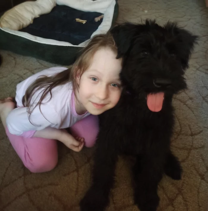 Kaya and Marinka - My, Autistic Disorders, Giant schnauzer, Dog