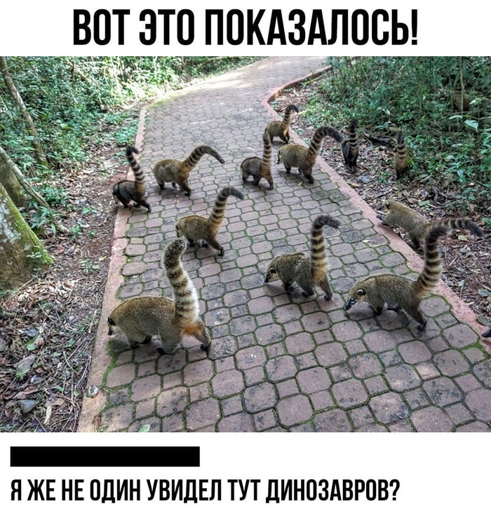 ���� ������� �������