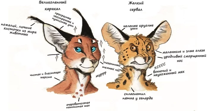 Post #7546233 - Caracal, Serval, Furry, Small cats, 0laffson, Cat family