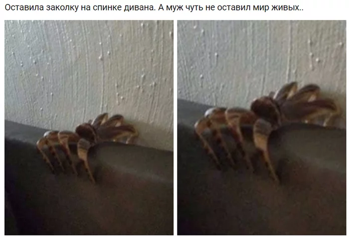 Just a hairpin - Barrette, Fear, Spider