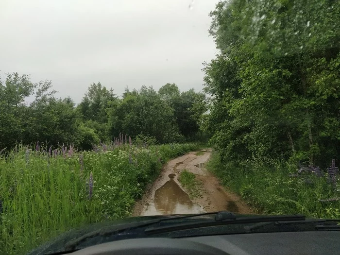 Misha Mountain. Forgotten places of the Pskov region - My, Abandoned villages, Tract, Crater, Off road, Pskov region, Longpost