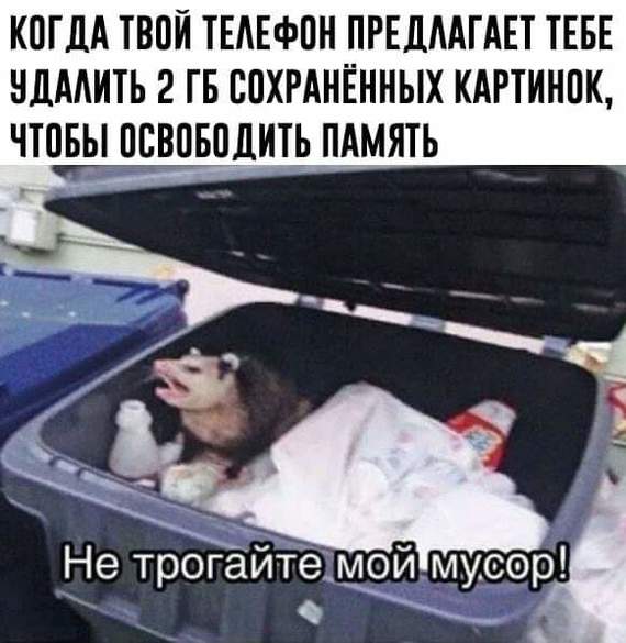 Don't touch! - Opossum, Memes, Humor, Memory, Удаление, Picture with text