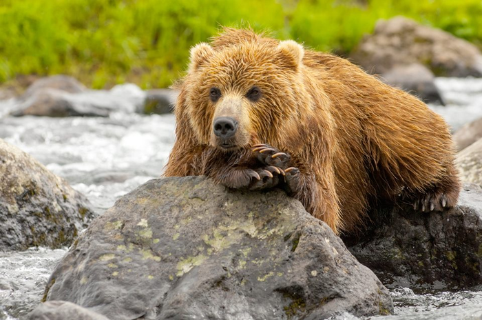 Сядь, надо поговорить!