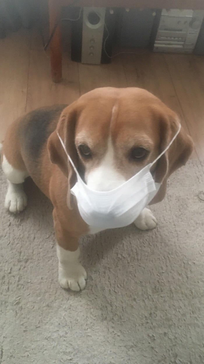 �� ��������