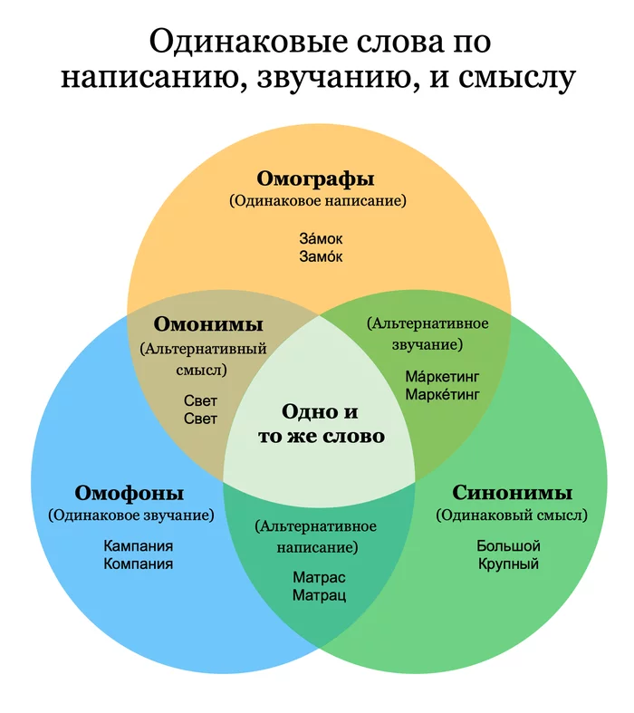 Identical words in spelling, sound, and meaning - Russian language, The words, Homophones, Homonyms, Synonym, Homographs, Translated by myself, Infographics