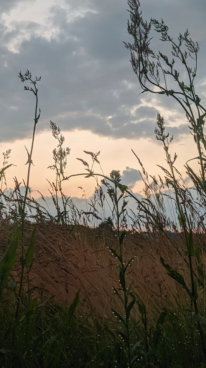 A walk through the suburbs of Warsaw from dusk to dawn - My, Warsaw, Sunrises and sunsets, Longpost