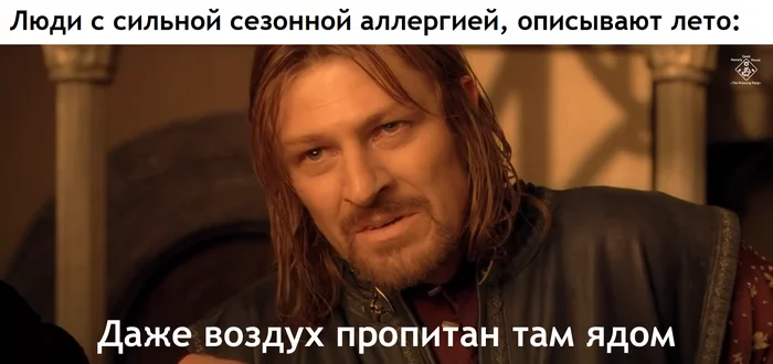 Не только лето и пыль, но и весна тоже! - Властелин колец, Боромир, Совет Элронда, Аллергия, Перевел сам, Картинка с текстом