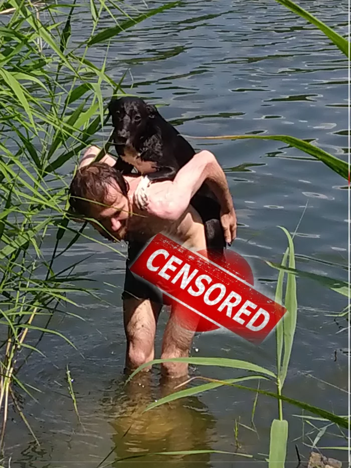 Big catch! - My, Dog, Water, Fear, Bathing, Awkward moment, Bathing