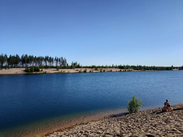 Let's do an off-road bike ride. June 2020 - My, A bike, Sertolovo, Pokatushki, Dirt, Video, Longpost