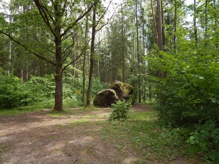 Broken Stone (Boulder) Albertine. Slonim. Belarus - My, Slonim, Republic of Belarus, A rock, Boulder, Video, Longpost