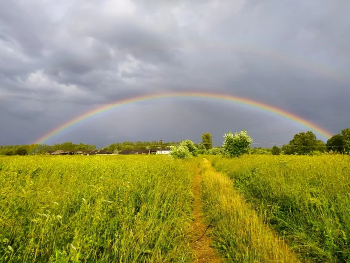 After the rain - My, Nature, Rainbow