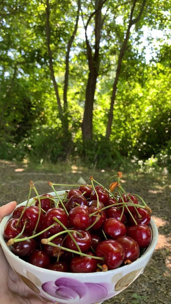 What else do you need? - Cherries, Yummy