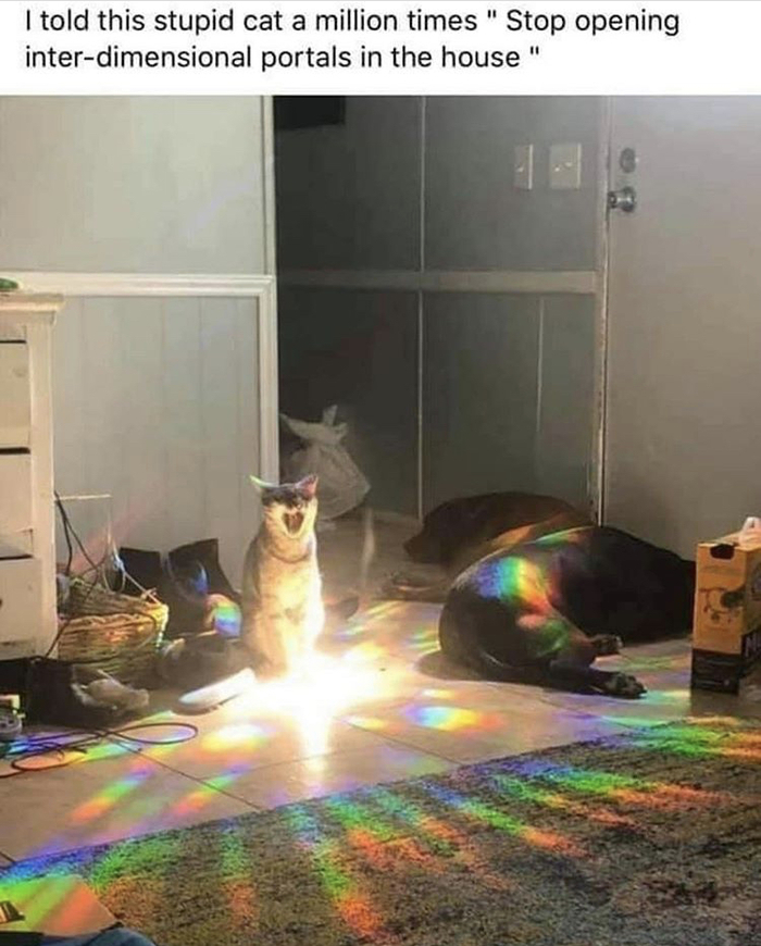   ,      ,  , ,   , , 