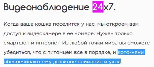 Отзыв о гостинице для кошек Сэр кот, Москва - Моё, Кот, Передержка, Услуги, Отзыв, Длиннопост