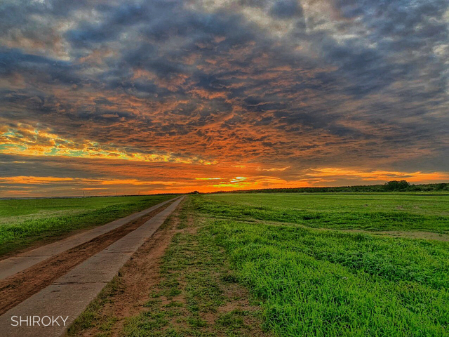 North of Russia - North, Russia, Sunset, Field, The photo