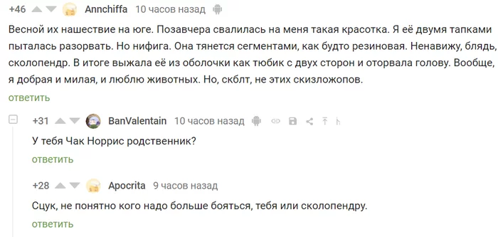 Родственница Чака Норриса - Сколопендра, Крепкая девушка, Чак Норрис, Скриншот, Комментарии на Пикабу