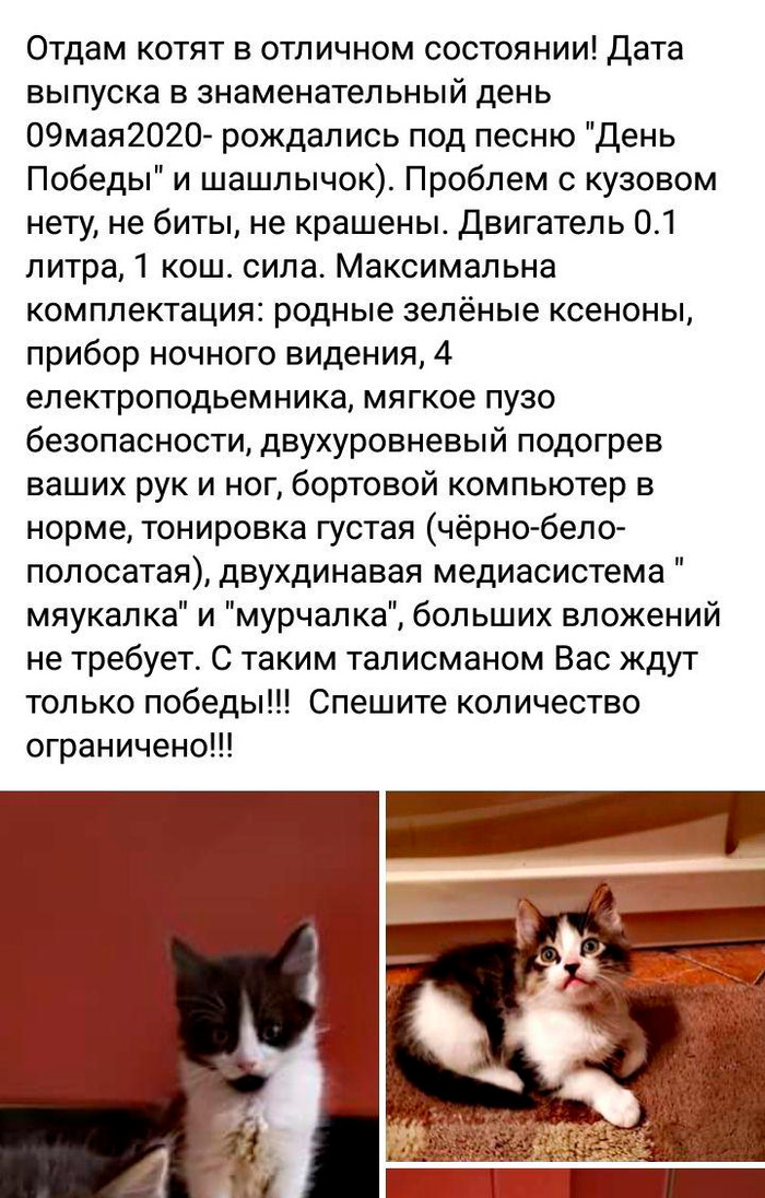 �� ����� ����� ��������