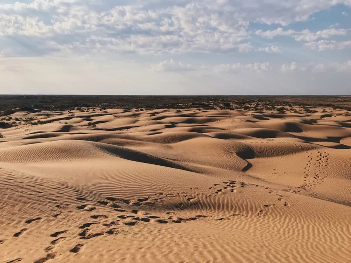 In the middle of the desert - My, Astrakhan, Desert, Travels, The photo, Beginning photographer, The nature of Russia, Longpost