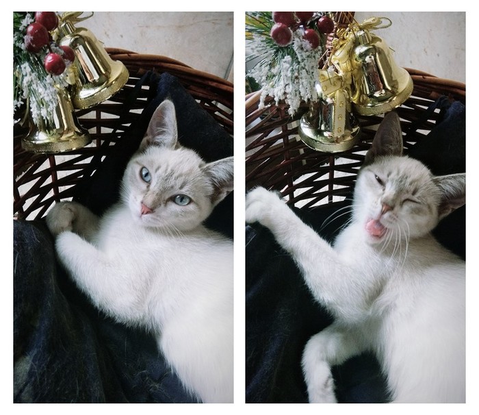 ����� ������� ����� �������� �� ����� �������