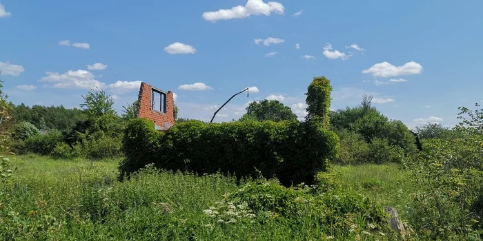 Abandoned summer cottages post - My, Abandoned, Fuck aesthetics, Dacha, Mobile photography, The photo, Kaluga region, Longpost