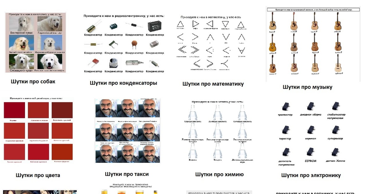 Пришел к п. Приходите к нам в кинологию у нас есть.