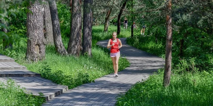 The most picturesque running paths in Moscow parks - Sport, Run, The park, Moscow, Longpost