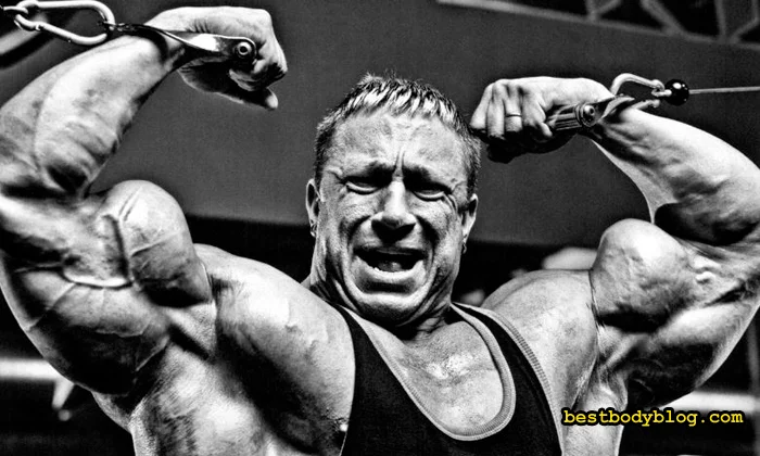 �������� �������� �����������: ����.