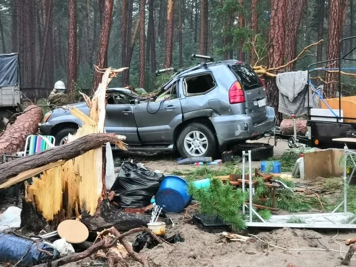 An overnight storm destroyed the campground - Krasnoyarsk region, Wind, Element, The fall, Dzerzhinsky District, Colon, Campground