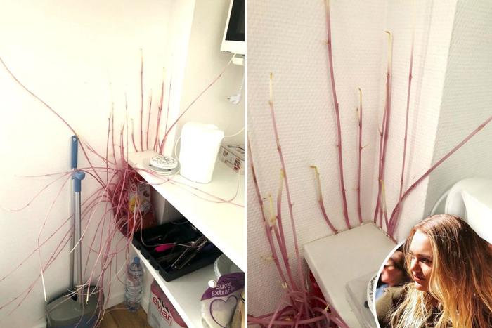 ��������-������ �������� �����������