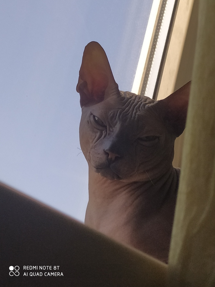 ���, � �������� � ����