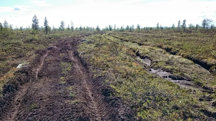Let's get home! The swamping swamp... Part 2. Patriot Niva and Duster, PerekatiKolsky 4x4 Murmansk - My, Kola Peninsula, Auto, Adventures, Travels, 4x4, Jeep, Road, Murmansk, Video, Longpost