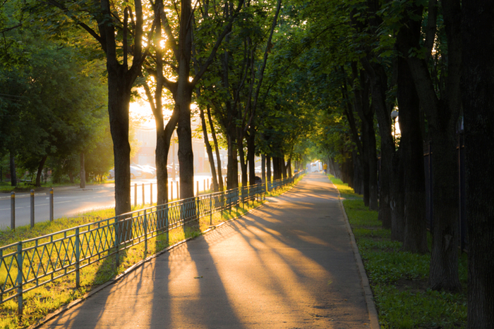 ��������� �����