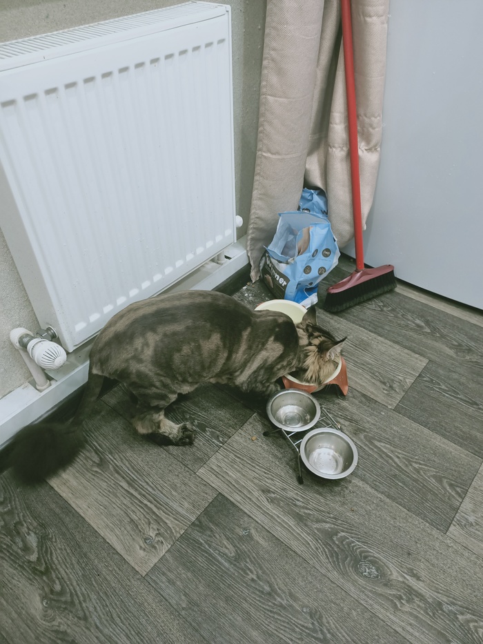 ������� �����, ��������...