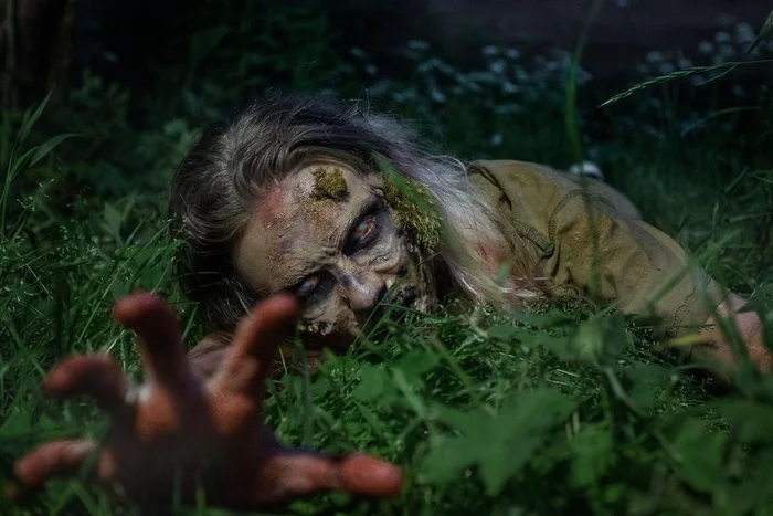 Cosplay of a walker from The Walking Dead - My, the walking Dead, Serials, Walking, Zombie, Cosplay, Russian cosplay, Longpost