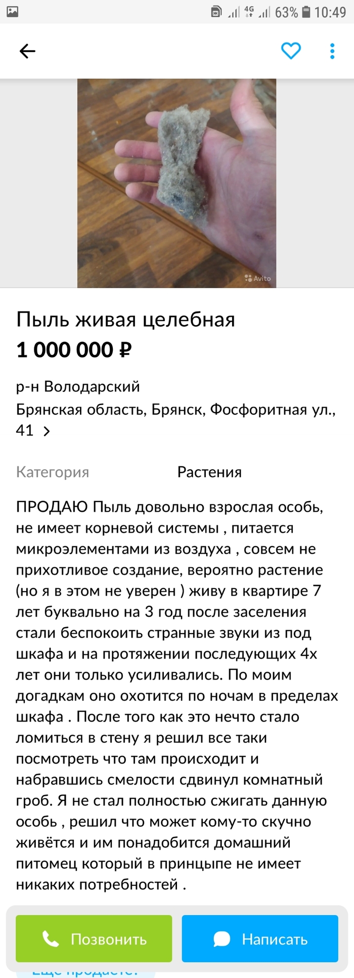 Авито: истории из жизни, советы, новости, юмор и картинки — Все посты |  Пикабу