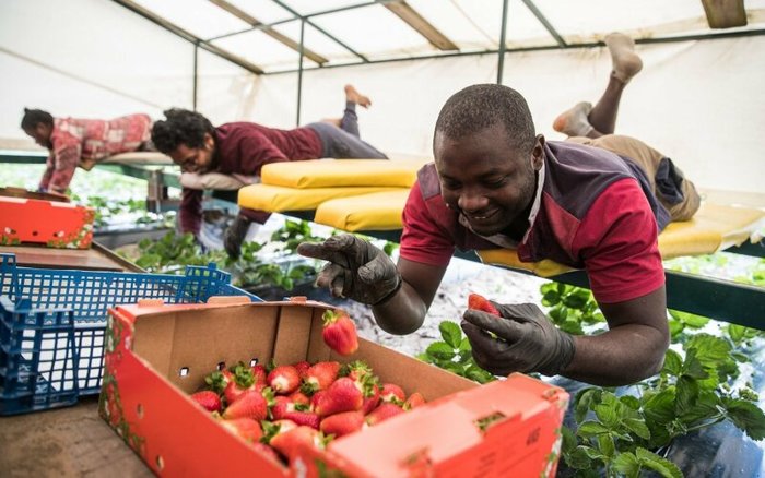 BLM ��-��������