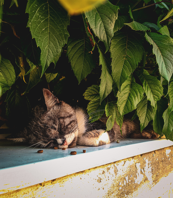 �����, ����� � �������