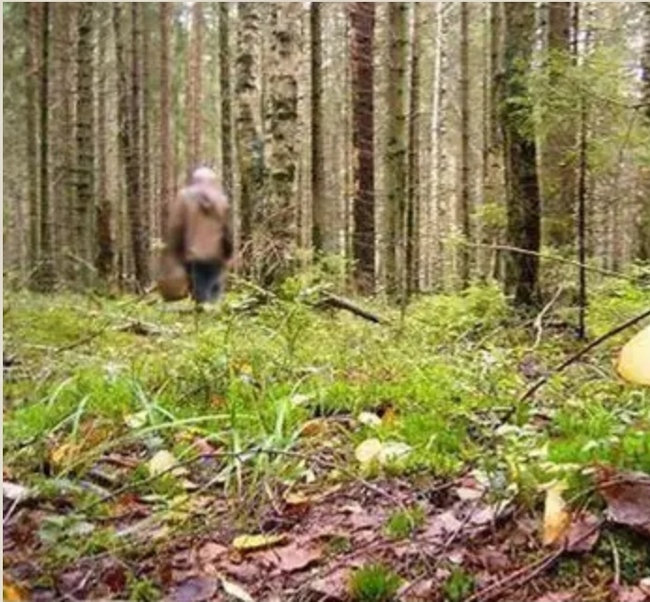 ���������� ���