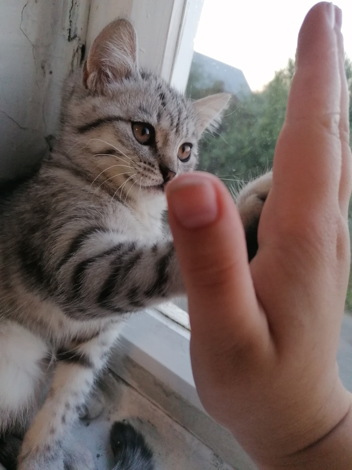 �� � ����� ����� �����...