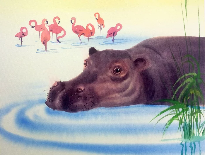 Hippopotamus. Friday. Heat. Watercolor - My, Watercolor, hippopotamus, Painting