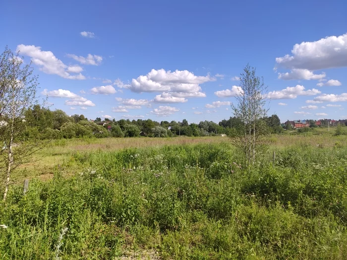 Field. Tula - My, The photo, Mobile photography, Field, Fedor Tyutchev, Longpost, Summer