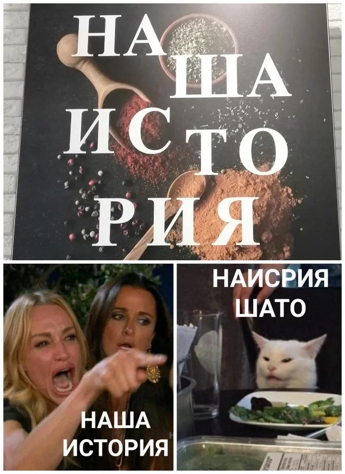 our history - My, cat, Memes, Rock ebol, Two women yell at the cat