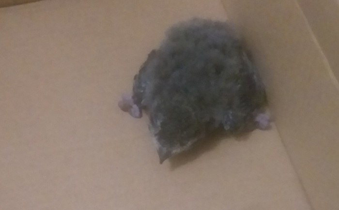 ����� �������� � �������