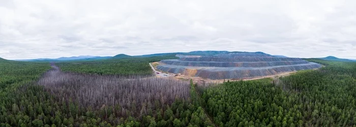 Death of the taiga - Forest, Greenpeace, Ummc, Ecological catastrophy, Severouralsk, Sverdlovsk region