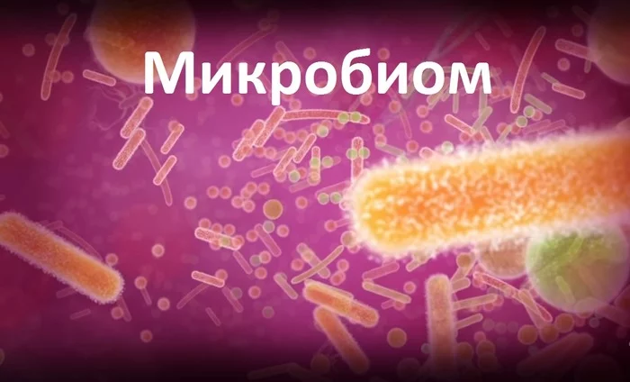 Проект по сохранению микробиома должен продолжаться! - Наука, Проект, Микробиом, Boinc, World Community GRID, ZOOM Cloud Meetings, Исследования, Вычисления, Длиннопост