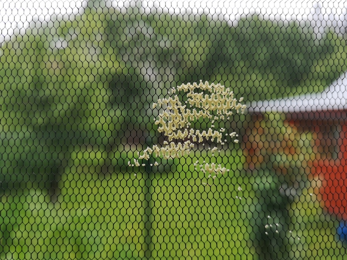 � ����� ����� ��������� ������������� �����