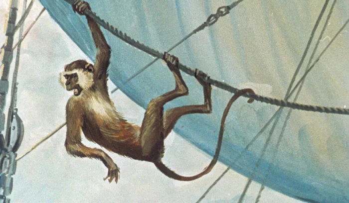 Monkey on the mast - My, Fable, Parable, Poems, Modern literature, Humor, Shipwreck, Monkey, Elite