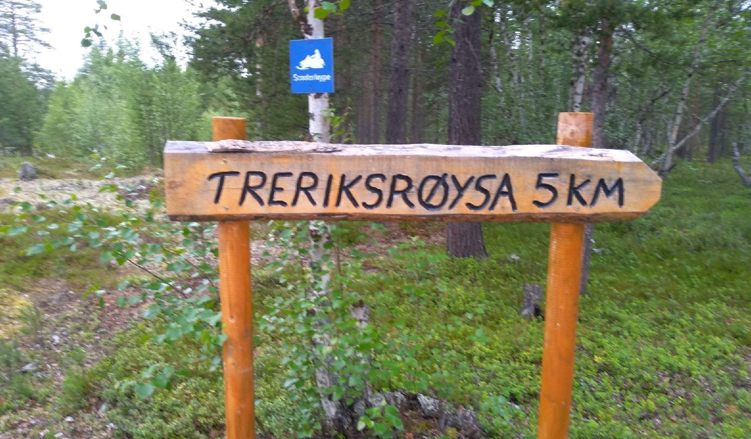 стык границ. латвийский пограничный столб. стык границ. граница литва обелиск. стык границ.